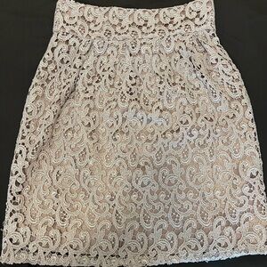 Boston Proper floral embroidered mauve skirt size 2
